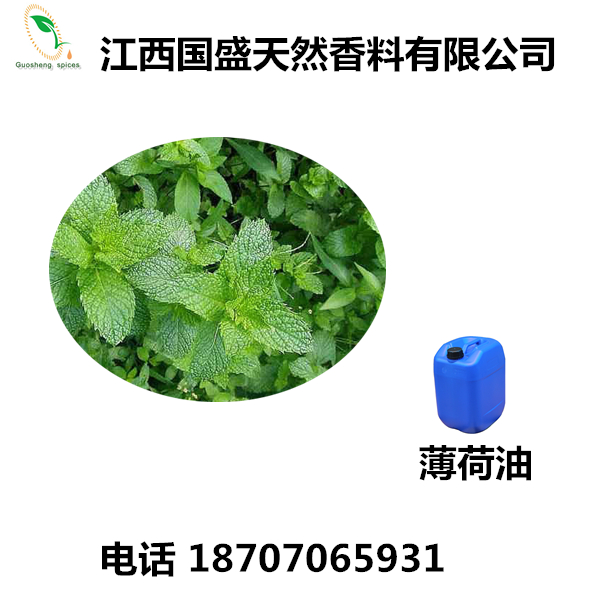 国盛供应薄荷油薄荷茎叶蒸馏提取天然薄荷油图片