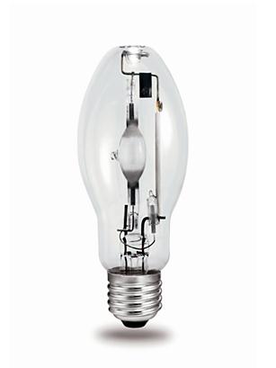 飛利浦金鹵泡圖片