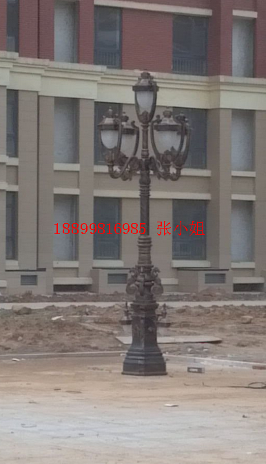 戶外景觀庭院燈廠家定制，不銹鋼庭院燈價(jià)格，戶外景觀庭院燈廠 批發(fā)戶外景觀庭院燈廠家定制