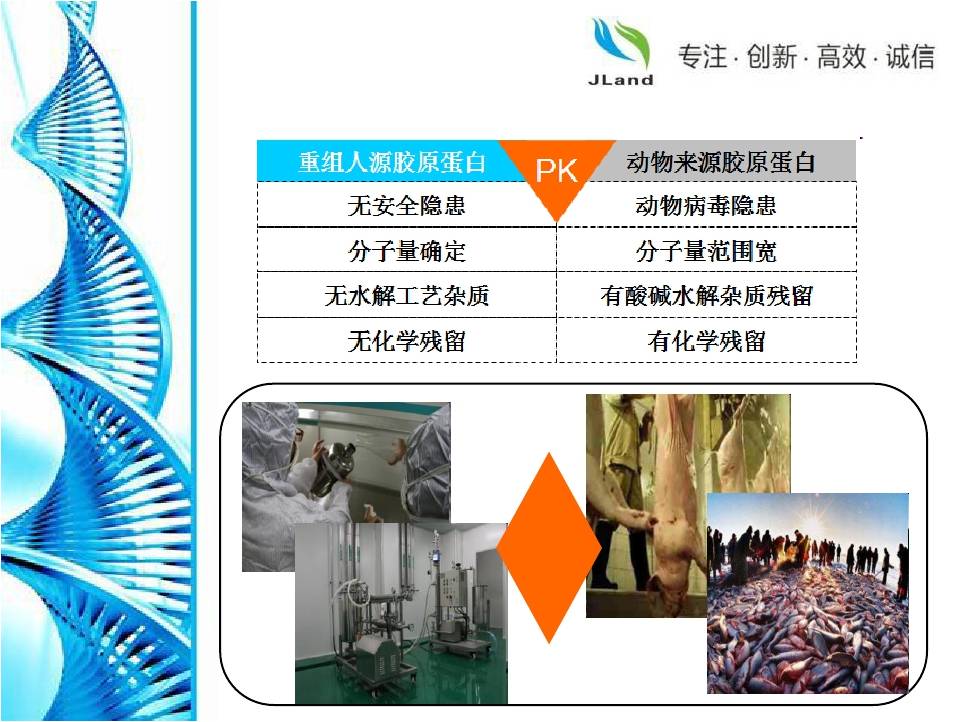 江苏聚源重组人源胶原蛋白RHC