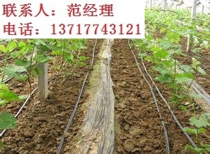 滴灌管材圖片/滴灌管材樣板圖 (2)