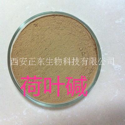 荷叶提取物 2%荷叶碱图片