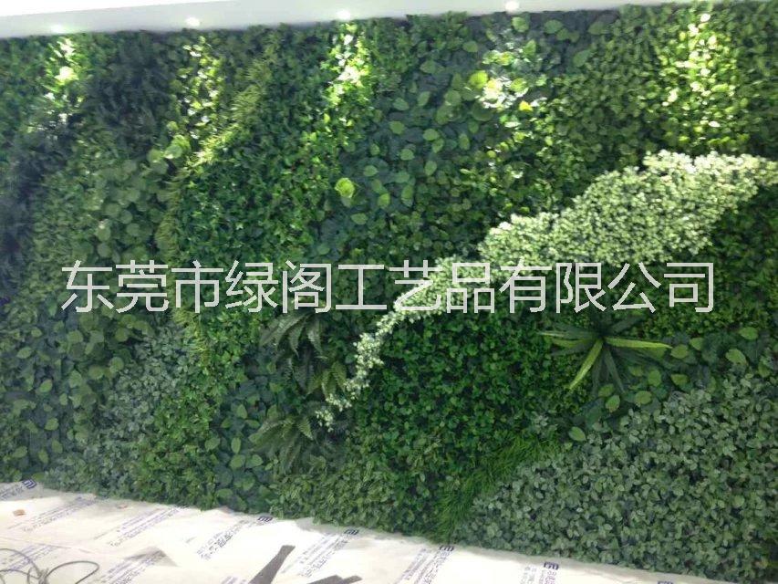 植物墙图片