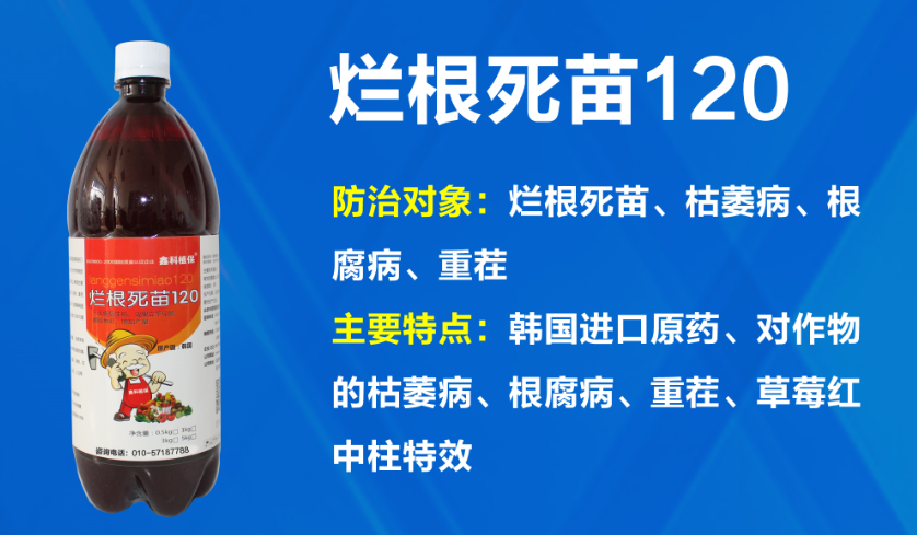 北京市烂根死苗120厂家鑫科植保烂根死苗120，枯萎病， 鑫科植保烂根死苗120  鑫科植保烂根死苗120 枯萎病