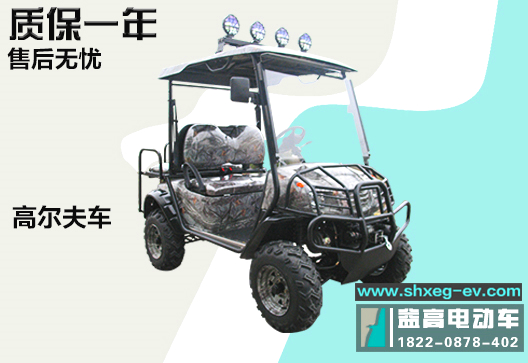 西安益高觀光車電動(dòng)巡邏車多座圖片