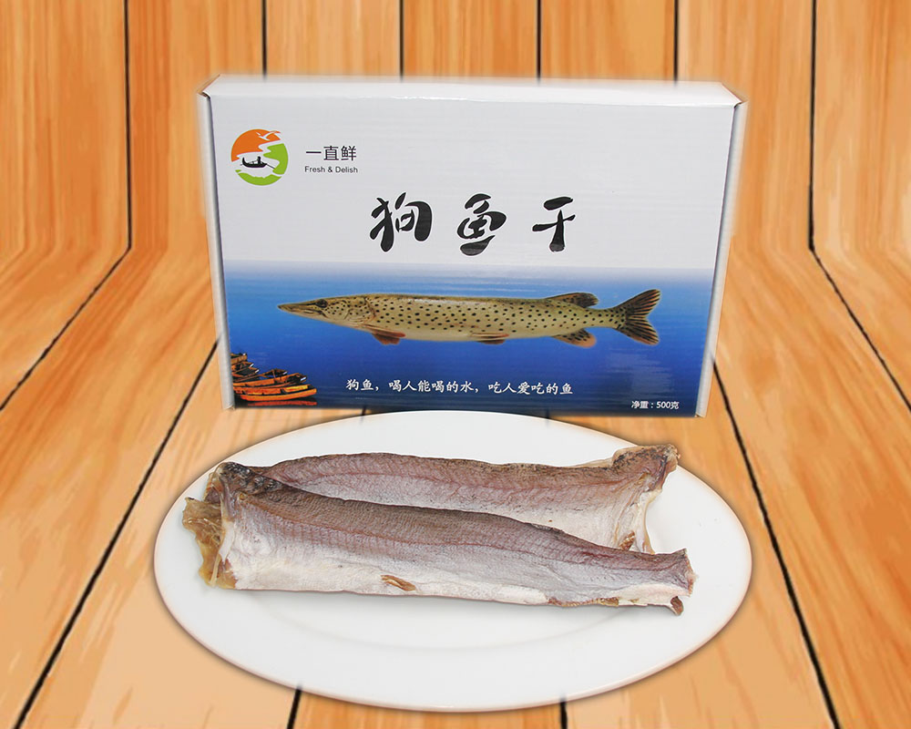 黑斑狗魚圖片