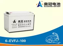 奥冠蓄电池6-EVFJ-100图片