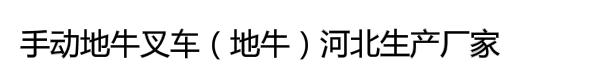 手动地牛叉车（地牛）河北生产厂家