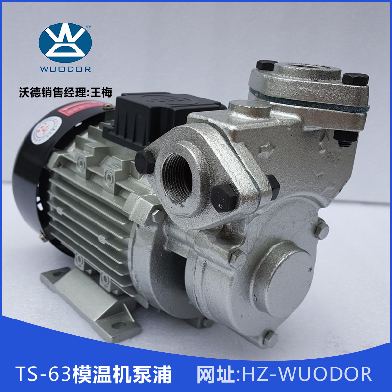 TS-63模溫機(jī)泵浦圖片