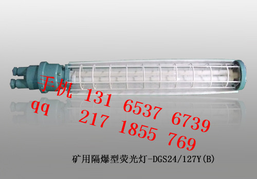 DGS36/127Y(B)矿用隔爆型荧光灯DGS36/127Y(B)-厂家图片