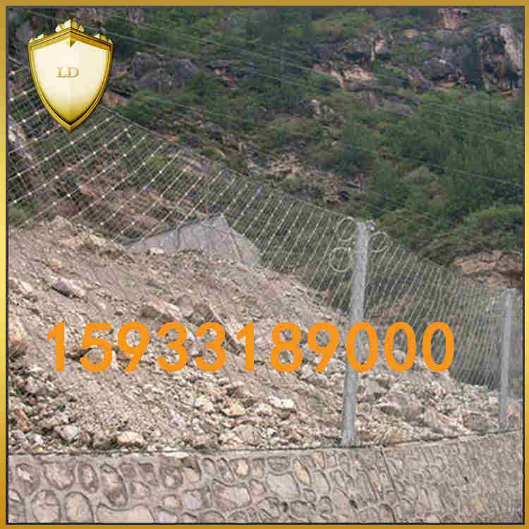 rxi被動(dòng)防護(hù)網(wǎng)廠家 質(zhì)優(yōu)價(jià)廉圖片/rxi被動(dòng)防護(hù)網(wǎng)廠家 質(zhì)優(yōu)價(jià)廉樣板圖 (2)