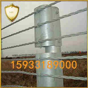 繩索護(hù)欄質(zhì)優(yōu)價(jià)廉圖片/繩索護(hù)欄質(zhì)優(yōu)價(jià)廉樣板圖 (4)