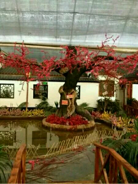 仿真樹圖片/仿真樹樣板圖 (4)