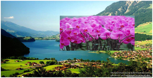 銀川 LED顯示屏哪家好