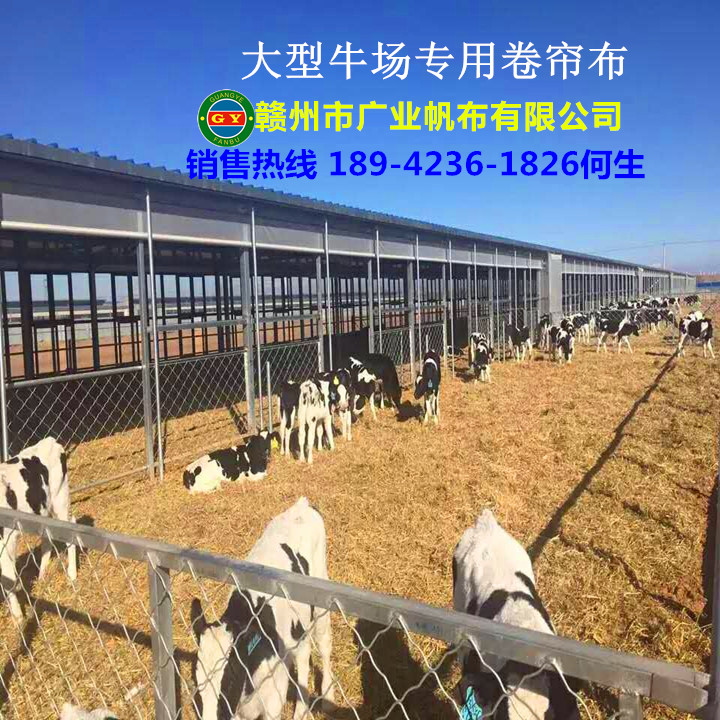 现代养殖场专用卷帘布猪场保温卷帘布防水牛场卷帘篷布