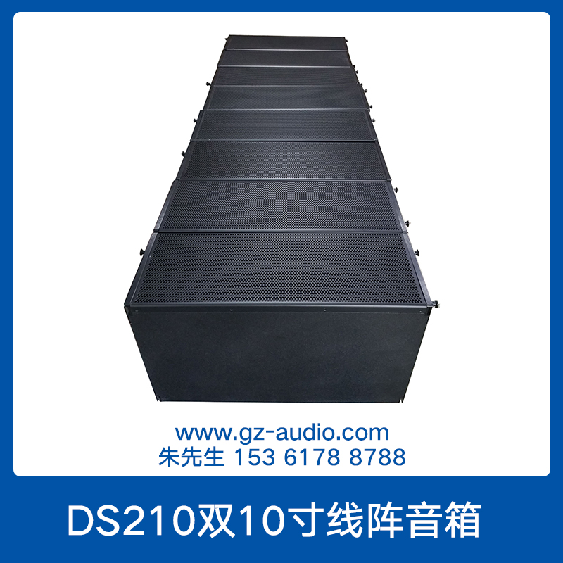 DS210双10寸线阵音箱图片