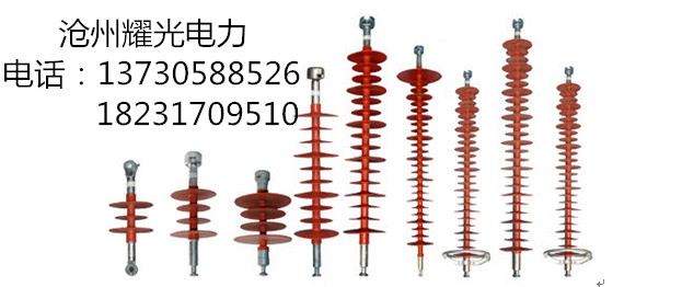 FXBW4-10/100耐张复合绝缘子