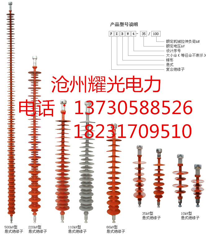 FXBW4-10/70复合绝缘子图片