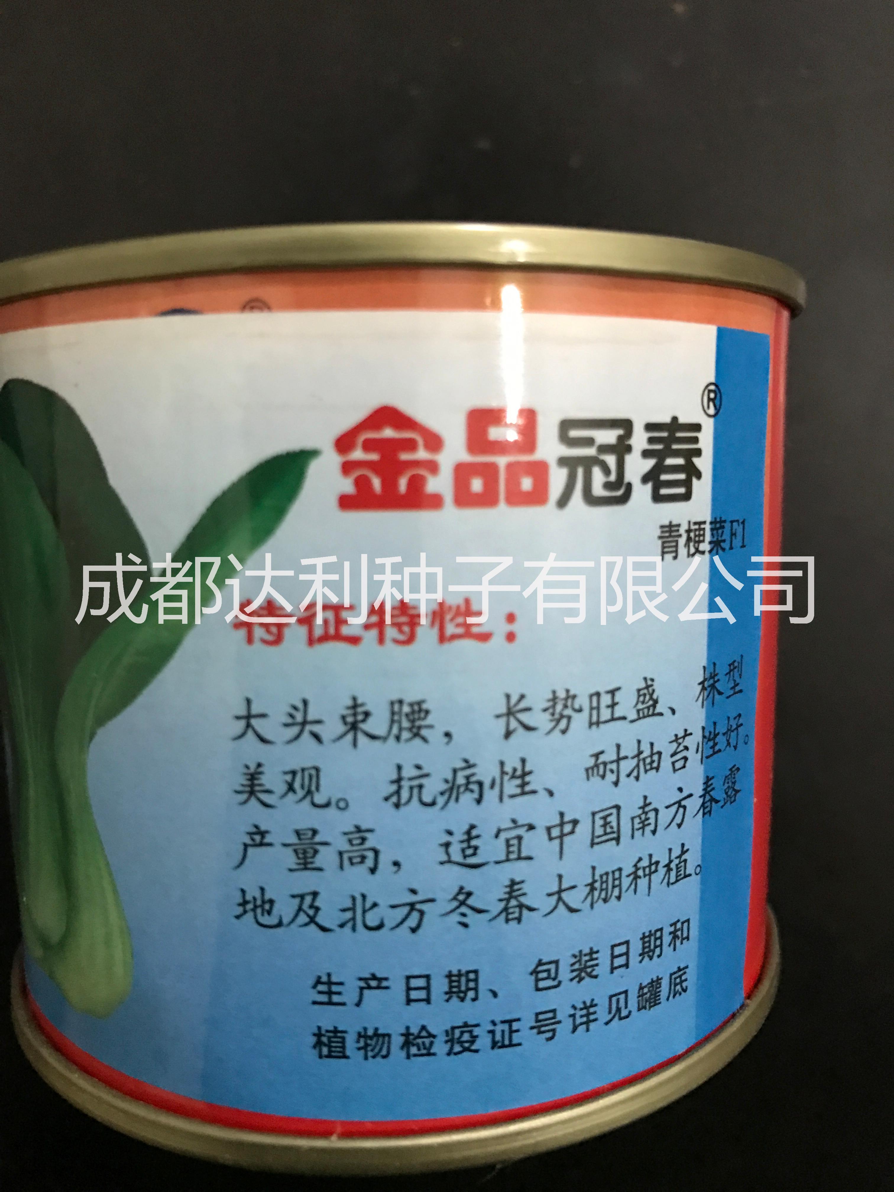 耐寒青梗菜種子 生長速度快效益高圖片