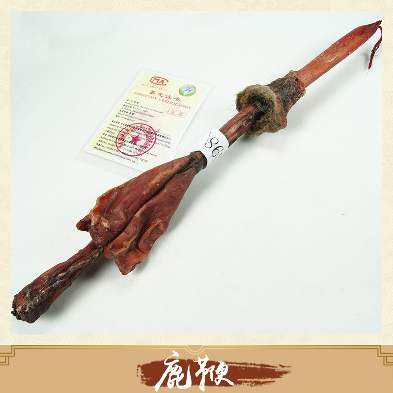 鹿鞭批发