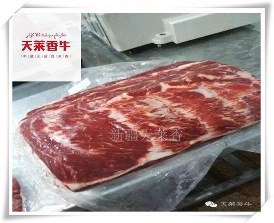 供应新疆牛肉牧场安格斯牛肉批发图片