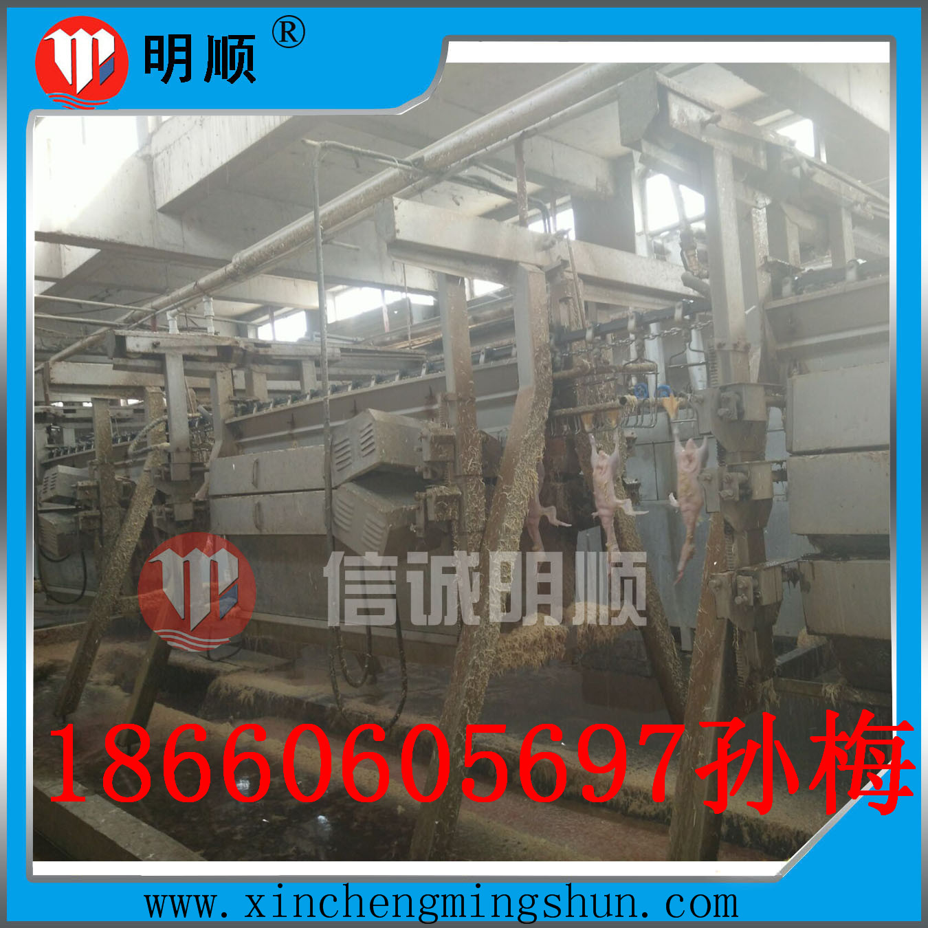 立式脫毛機(jī)圖片/立式脫毛機(jī)樣板圖 (4)