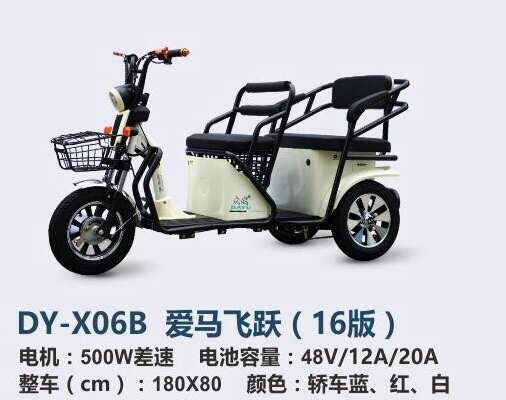 DY-X06B 爱马飞跃图片