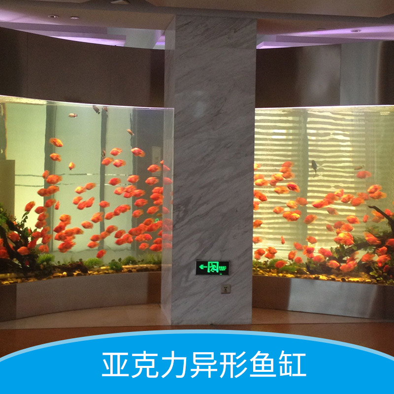 亞克力異形缸工程 異形魚缸 亞克力異形缸定做 亞克力異形魚缸