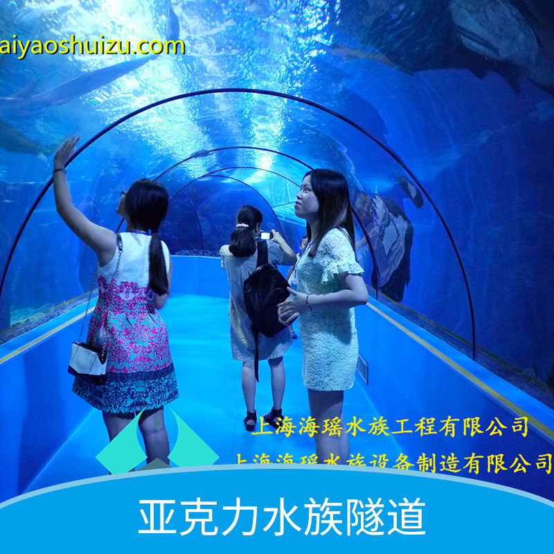 亞克力水族圖片/亞克力水族樣板圖 (2)