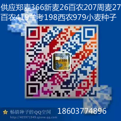 新国审耐密高产红轴农大372图片/新国审耐密高产红轴农大372样板图 (4)