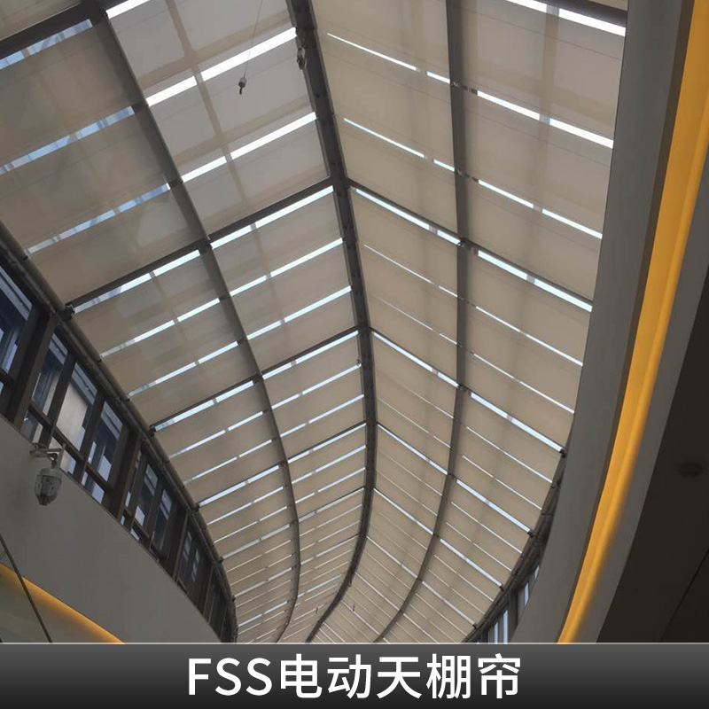 FSS电动天棚帘出售图片