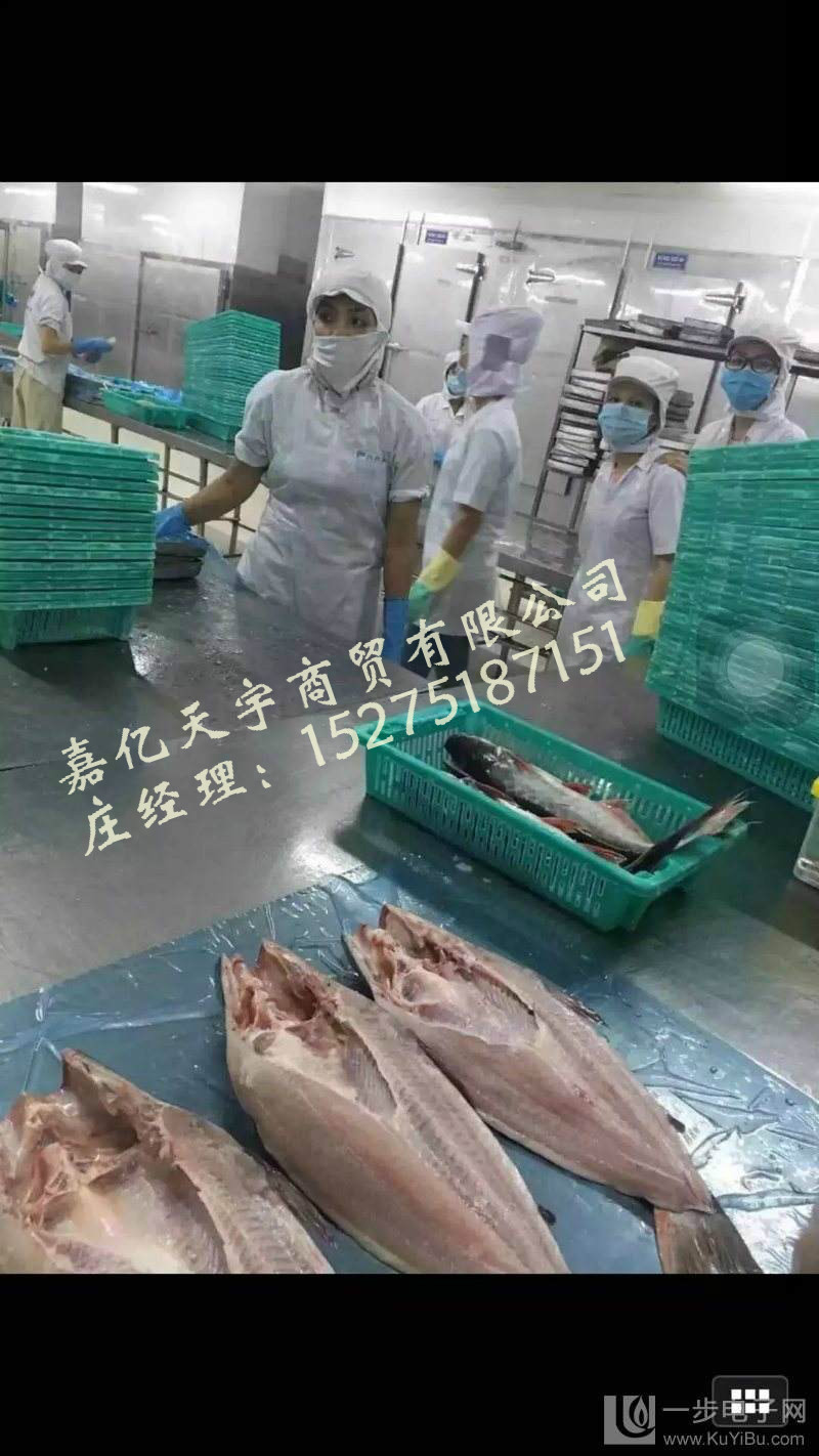 醉炉烤鱼