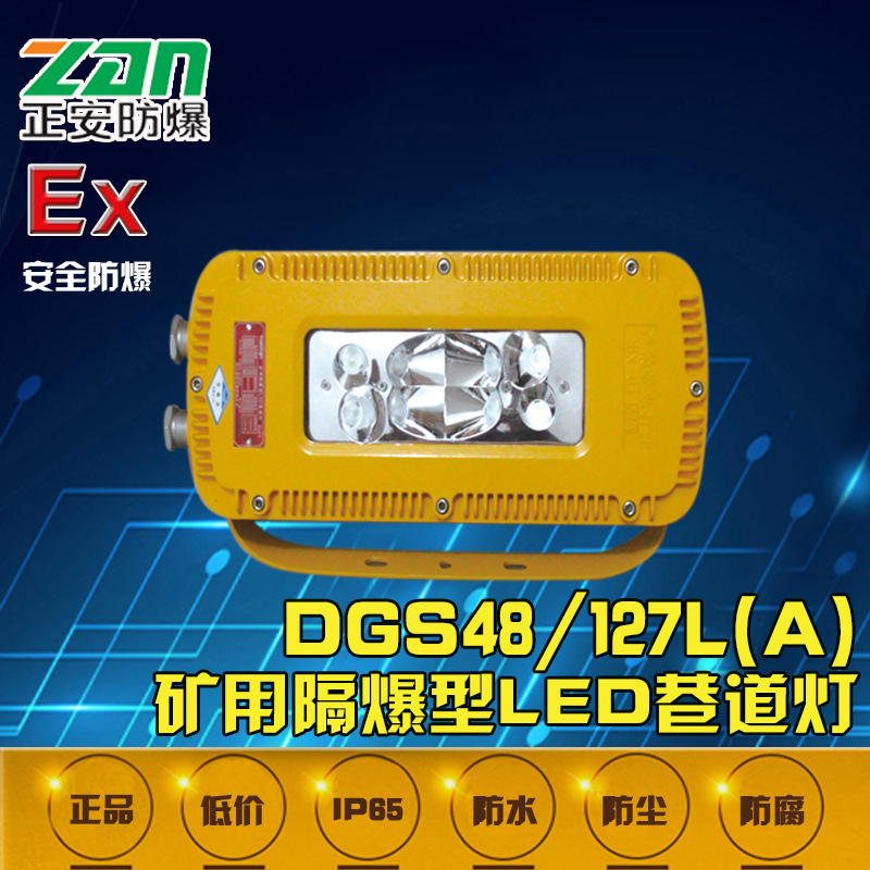 DGS10（24）127L（A）矿用隔爆型LED巷道灯LED防爆灯防爆型灯具图片