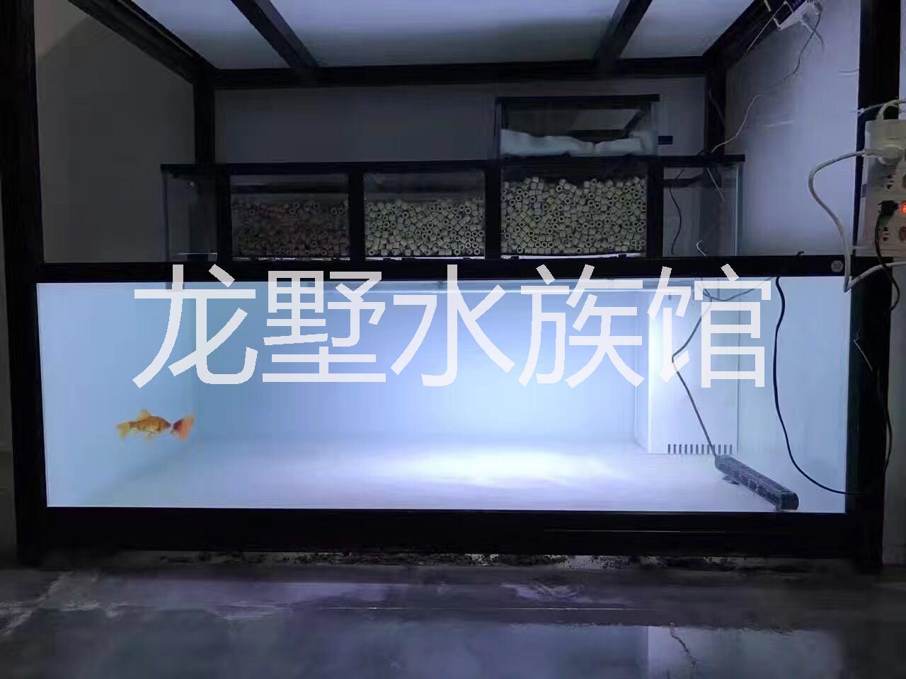 合肥鱼缸合肥鱼缸订做龙鱼缸龙墅大型鱼缸水族箱客厅中大型超白图片