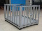 青島動(dòng)物稱哪里有