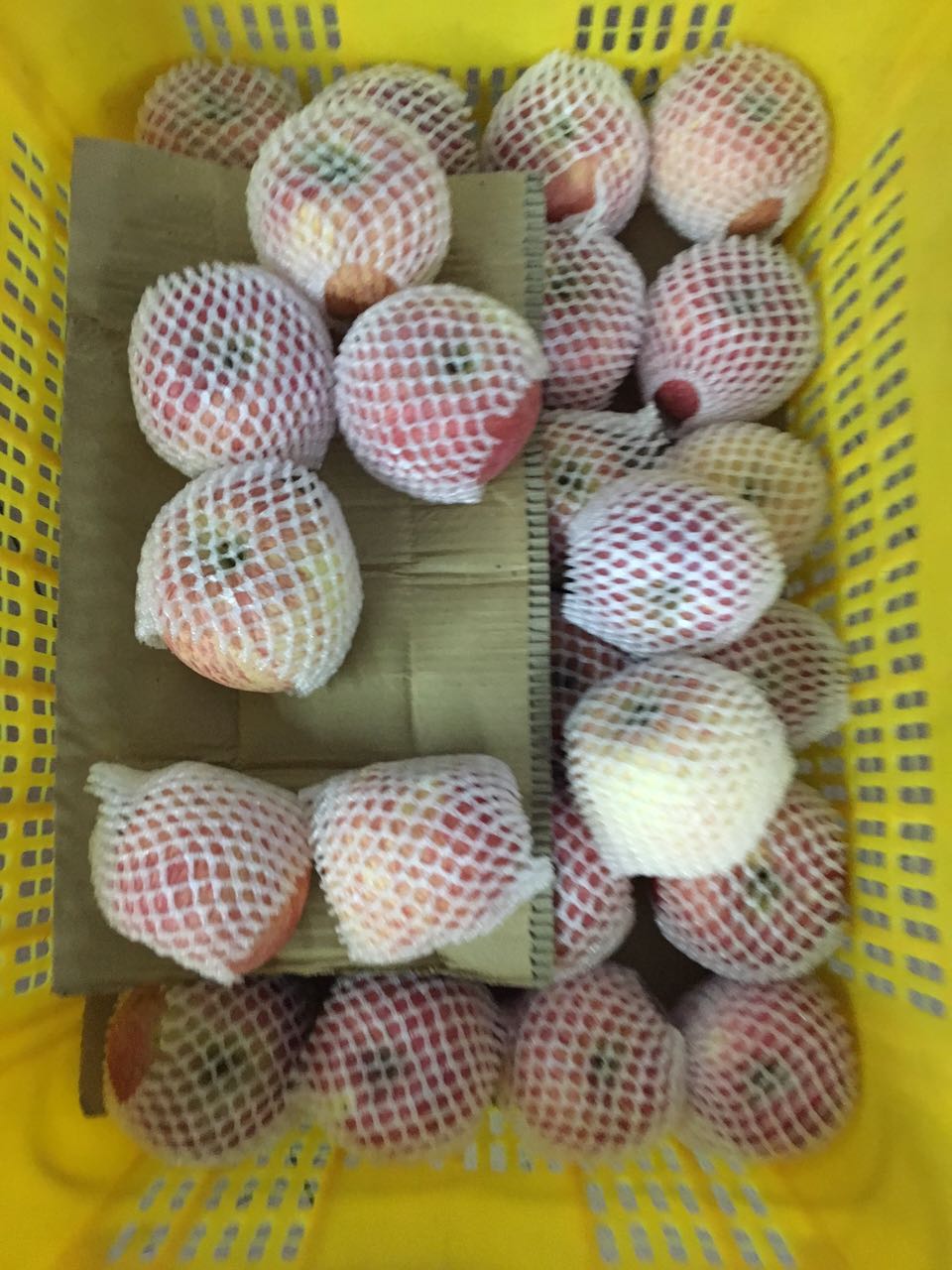 廣州開發(fā)區(qū)蔬菜配送、蘿崗蔬菜配送圖片