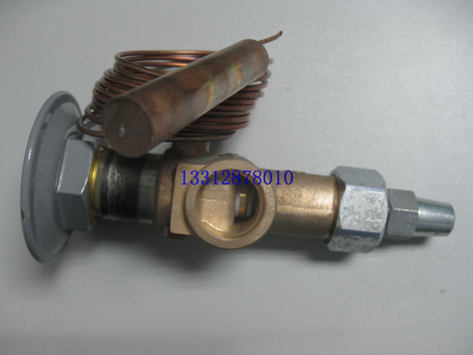 膨脹閥圖片/膨脹閥樣板圖 (2)