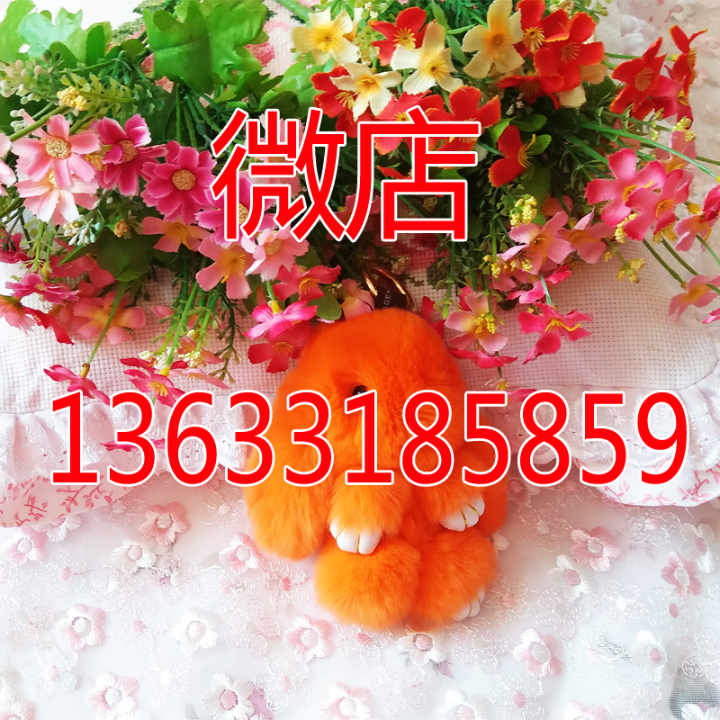 兔子掛圖片/兔子掛樣板圖 (4)