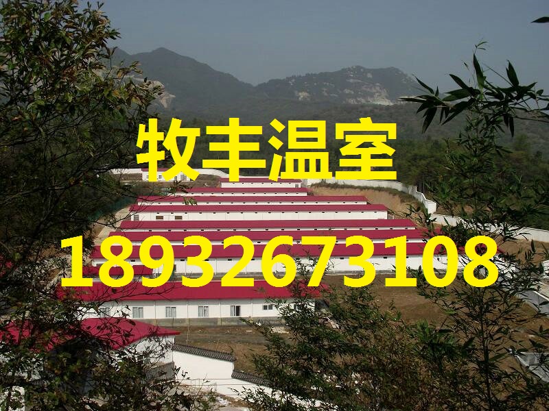 河南保溫雞舍造價(jià)圖片