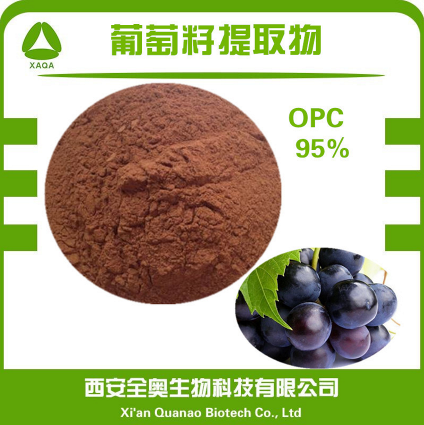 葡萄籽提取物95% OPC 天然原花青素 抗氧化原料 现货包邮