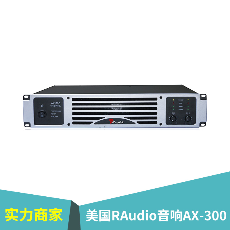 美国RAudio音响AX-300家庭影院ktv用音响厂家图片