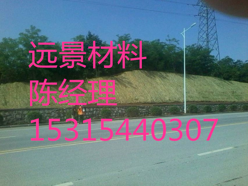 遠景植物纖維毯環(huán)保草毯圖片/遠景植物纖維毯環(huán)保草毯樣板圖 (4)