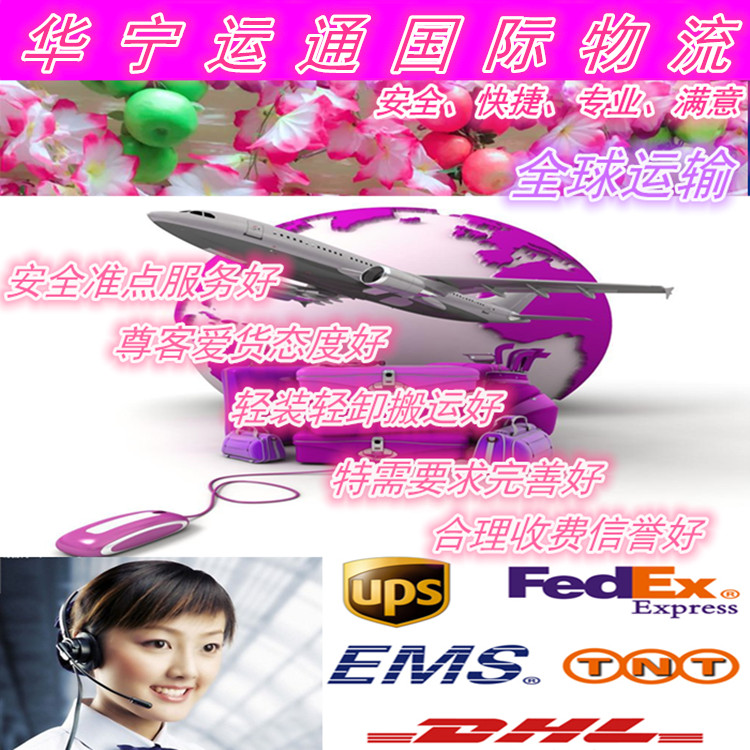 中东DHL中东图片