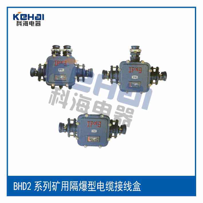 隔爆型电缆接线盒图片