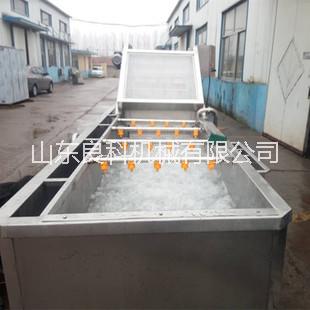 芹菜清洗機圖片/芹菜清洗機樣板圖 (3)