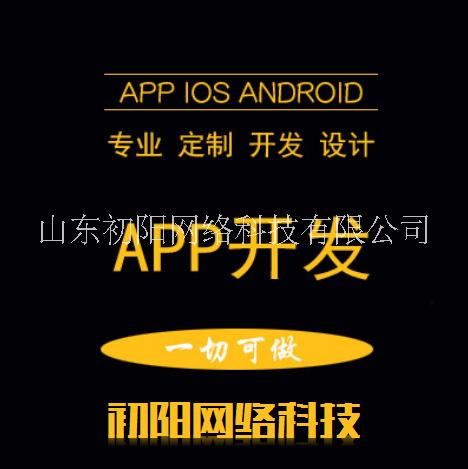 山东APP软件定制开发 山东APP开发APP软件定制开发