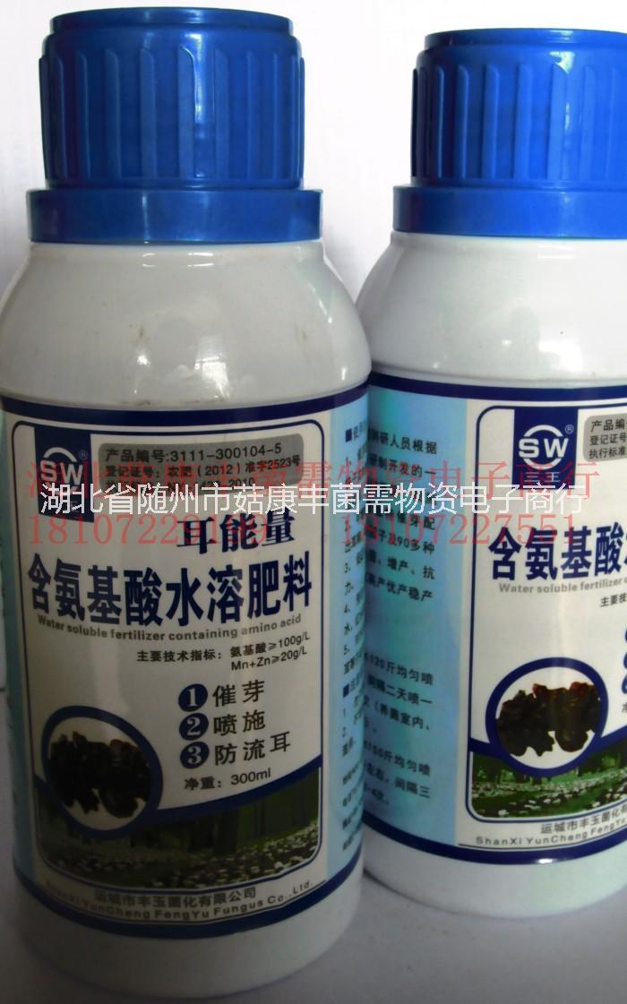 食用菌圖片/食用菌樣板圖 (2)