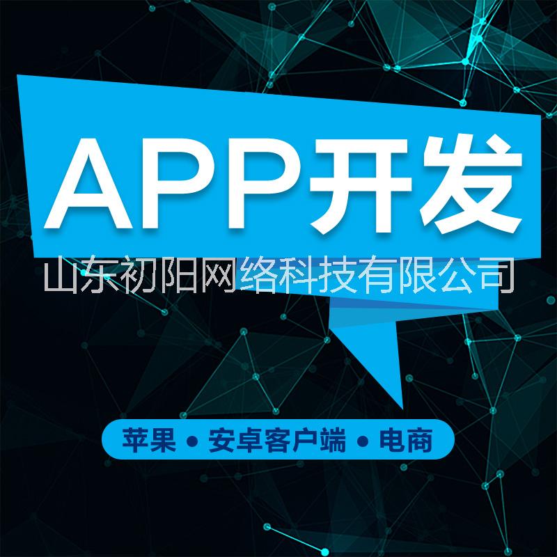 APP软件定制开发图片