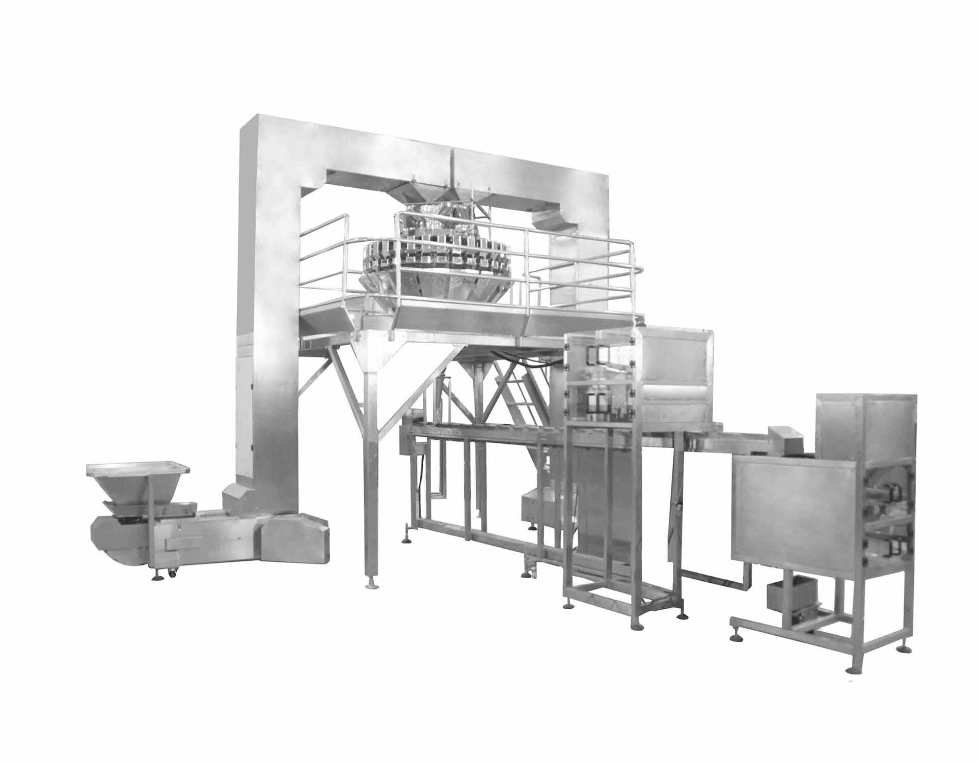多坚果自动称重包装组合生产线图片