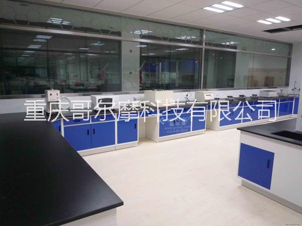 全鋼實(shí)驗(yàn)臺圖片/全鋼實(shí)驗(yàn)臺樣板圖 (2)